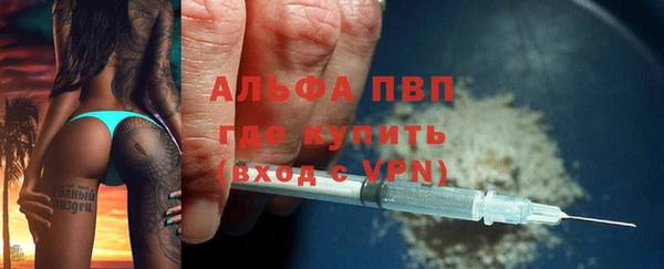 стаф Аркадак
