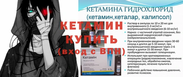 стаф Аркадак