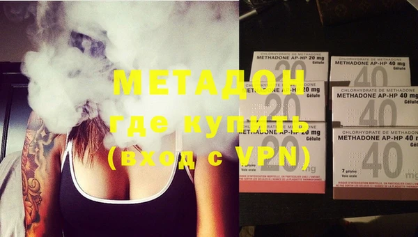 стаф Аркадак
