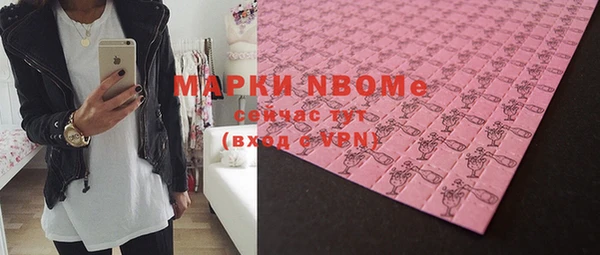 стаф Аркадак