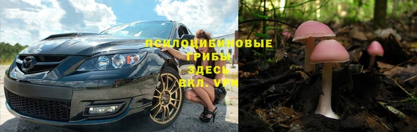соль ск Зерноград