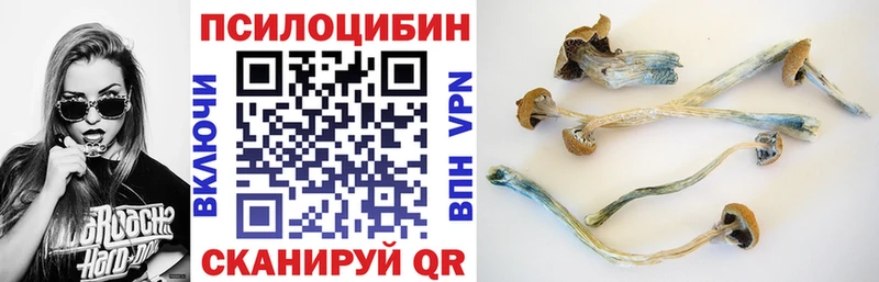 Галлюциногенные грибы мухоморы  купить   Суровикино 
